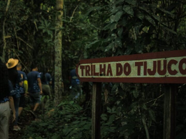 Dia Mundial do Turismo: empreendimentos ribeirinhos reforçam importância do setor para Amazônia